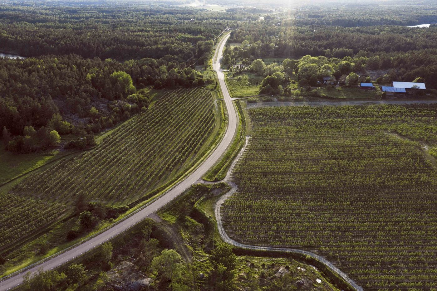 Vag skog jordbruk